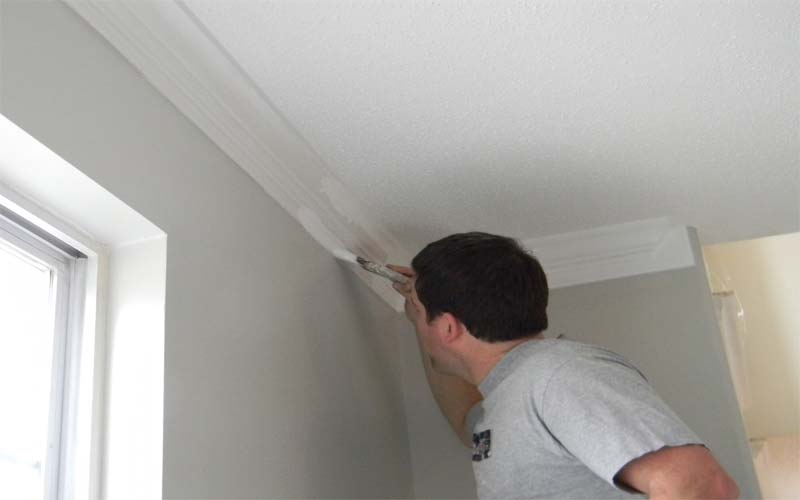 House Painting Contractors